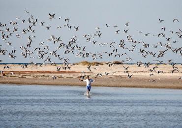 Djerba